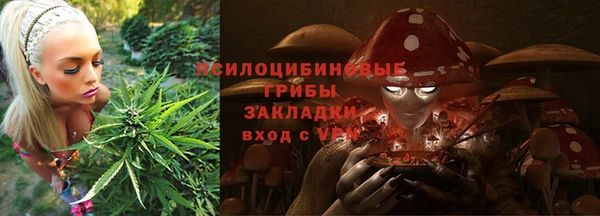 каннабис Майский