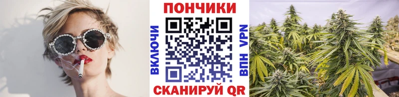 Канабис OG Kush  Купить закладки  Советск 